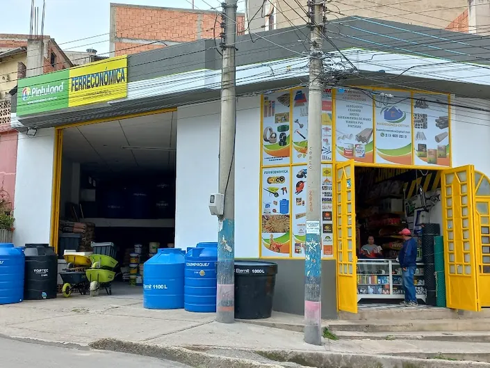 Ferreconomica