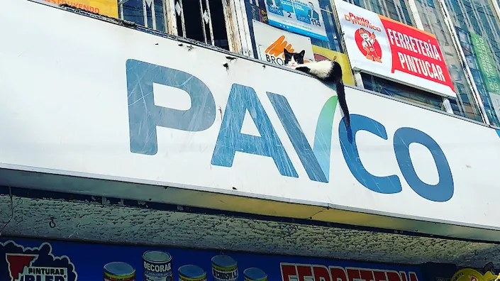 FERRETERIA PINTUCAR Y ASOCIADOS SAS