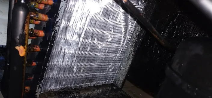 casantec