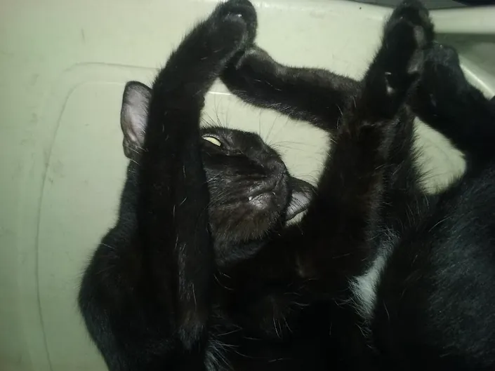 FERRETERIA EL TUTO