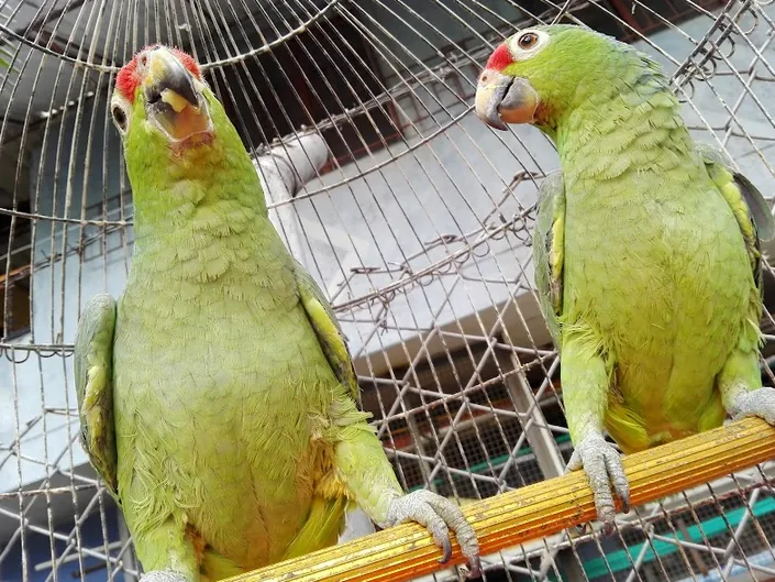 FERRETERIA Y ELECTRICOS DUQUE