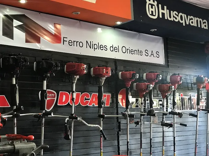 Ferro Niples del Oriente S.A.S