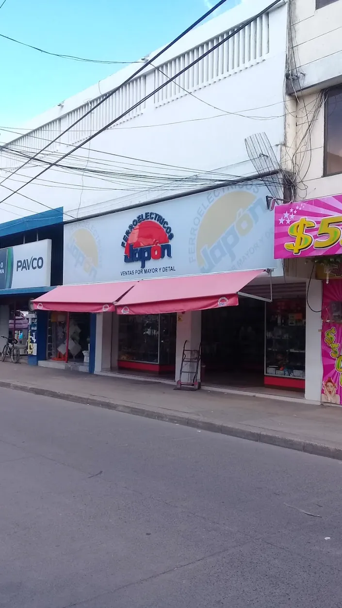 Ferróelectricos Japón